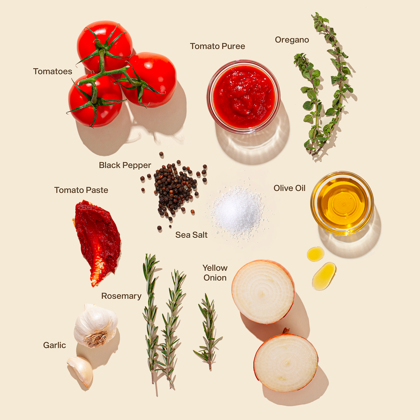 An overhead view of fresh ingredients for SAUZ Wild Rosemary Marinara sauce, including tomatoes on the vine, tomato puree, tomato paste, garlic cloves, yellow onions, rosemary sprigs, oregano, black pepper, sea salt, and olive oil, neatly arranged on a light background with natural lighting